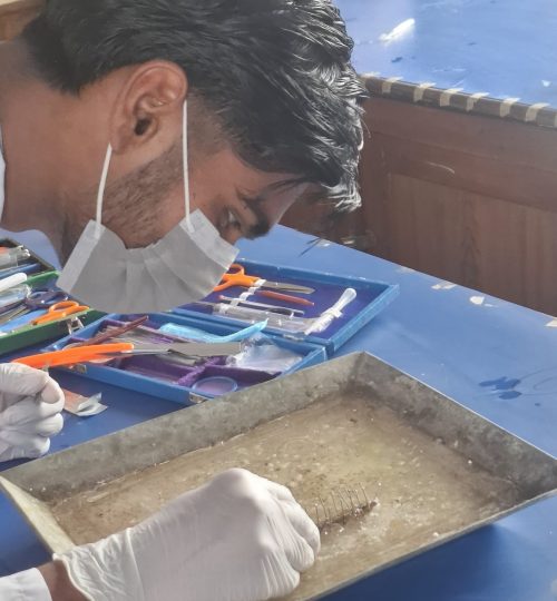 science1